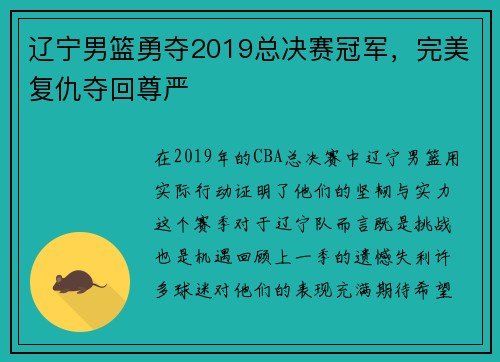 辽宁男篮勇夺2019总决赛冠军，完美复仇夺回尊严
